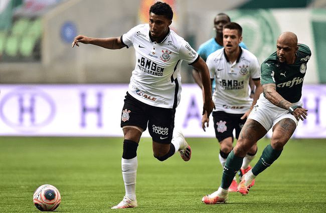 供稳定的竞 供稳定的竞