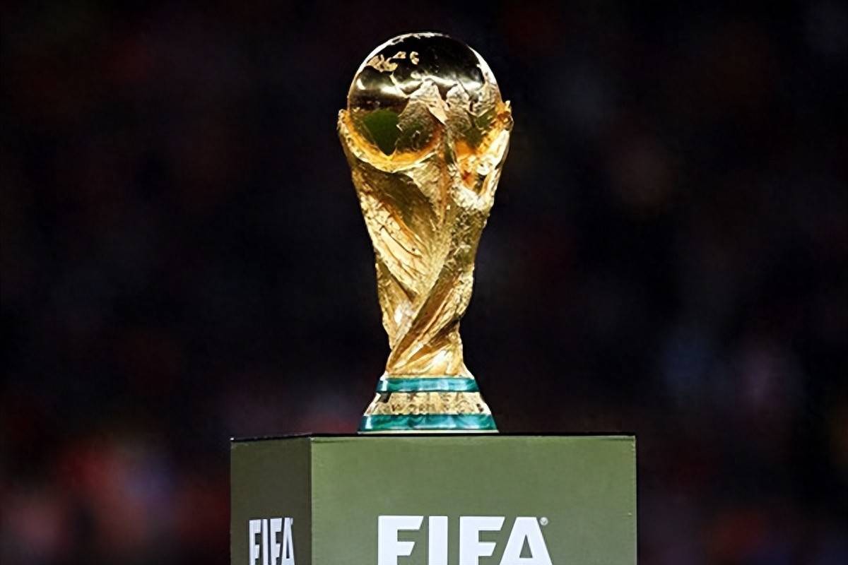 而更像是外 而更像是外